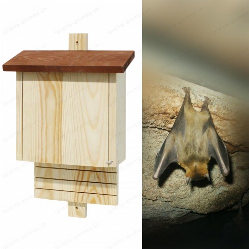 Maison Chauve souris