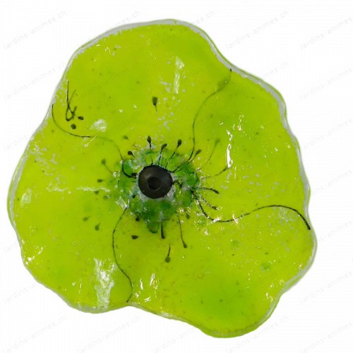 Fleur coquelicot VERT